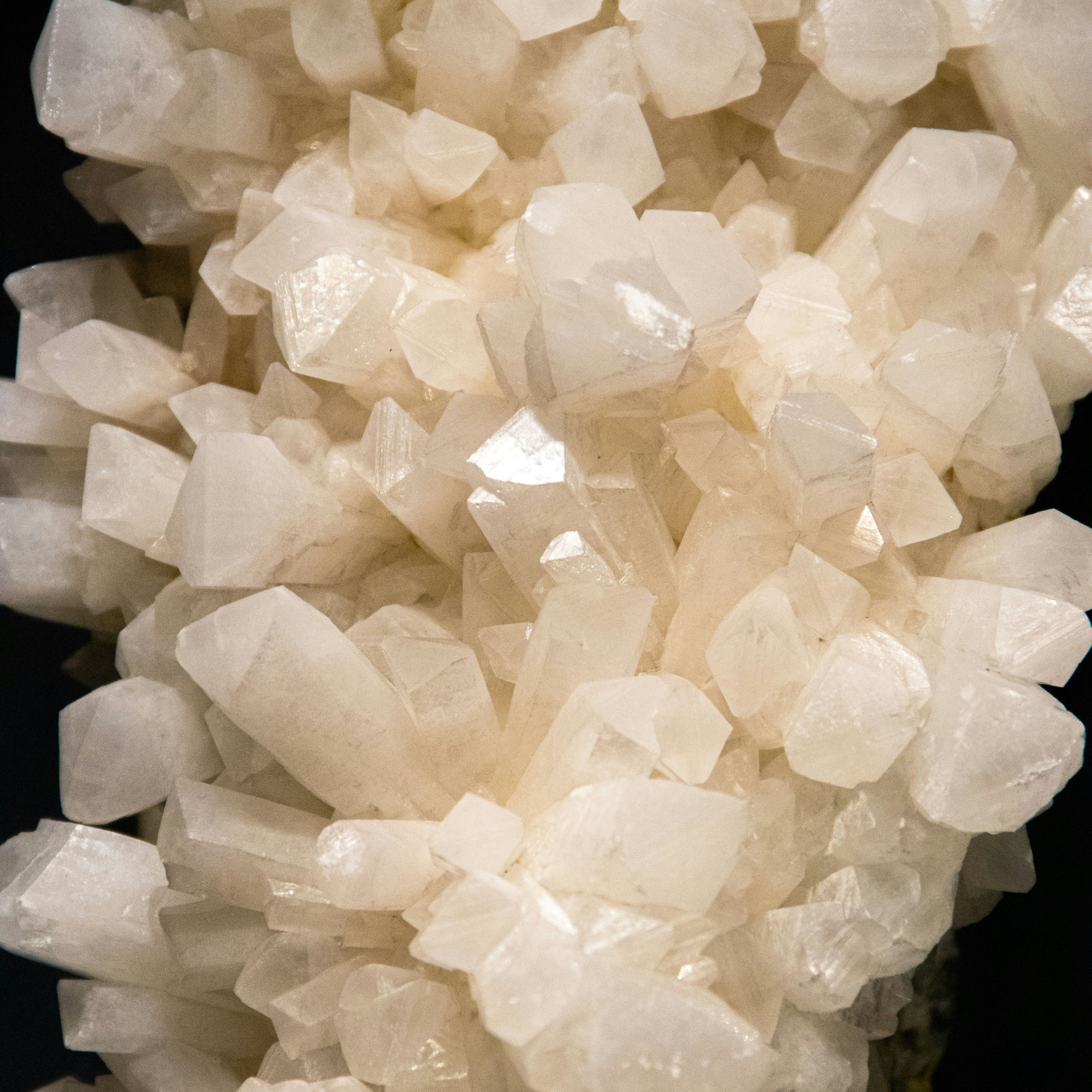 Quartz Family